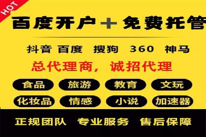 百度竞价运营的挑战与机遇：成功案例探讨